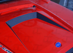 Hood Accent Graphic Kit For Polaris RZR 800/900